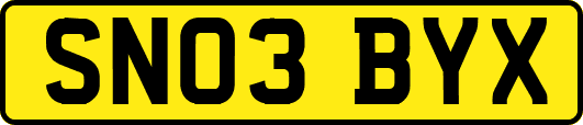 SN03BYX
