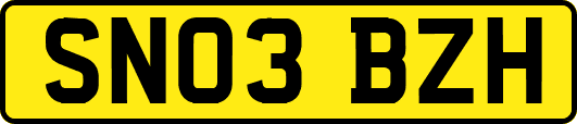 SN03BZH