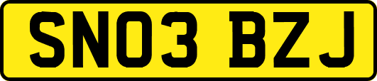 SN03BZJ