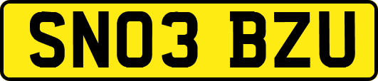 SN03BZU