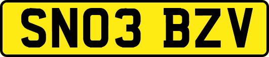 SN03BZV