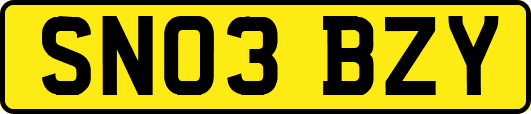 SN03BZY