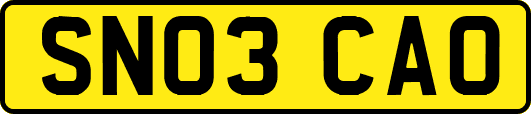 SN03CAO