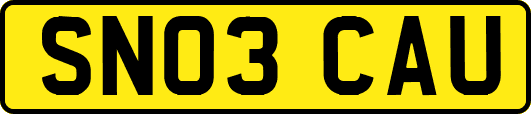 SN03CAU