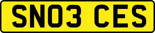 SN03CES