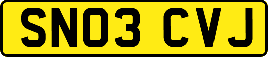 SN03CVJ