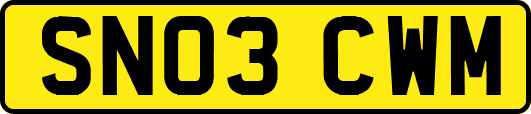SN03CWM