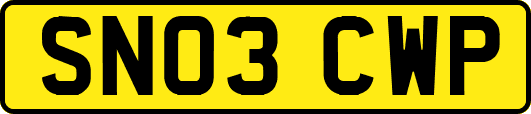 SN03CWP
