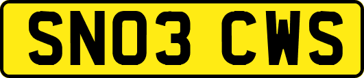 SN03CWS
