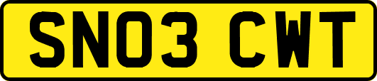 SN03CWT