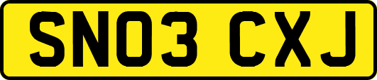 SN03CXJ