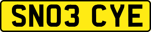 SN03CYE