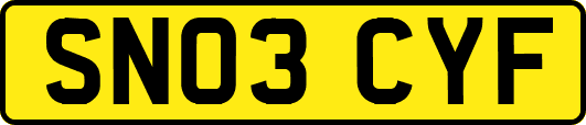SN03CYF