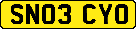 SN03CYO