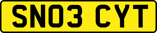 SN03CYT
