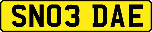 SN03DAE