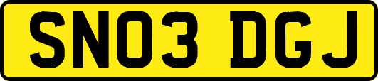 SN03DGJ