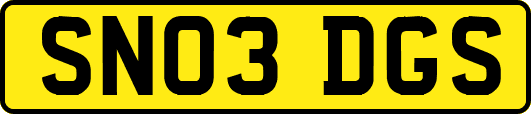 SN03DGS