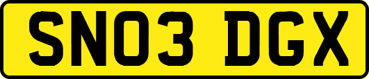 SN03DGX