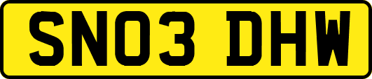 SN03DHW