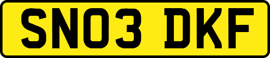 SN03DKF
