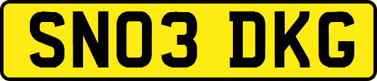 SN03DKG