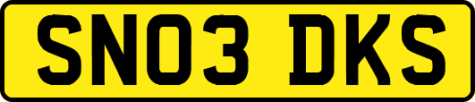 SN03DKS