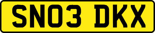 SN03DKX