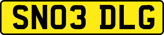 SN03DLG
