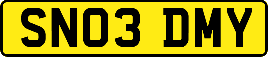 SN03DMY