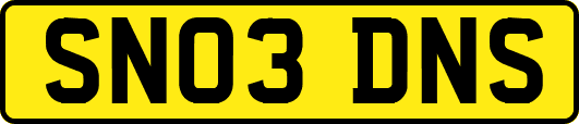 SN03DNS