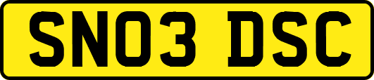 SN03DSC