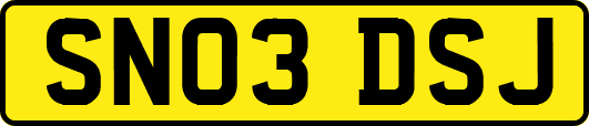 SN03DSJ