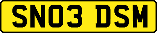 SN03DSM