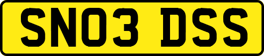 SN03DSS