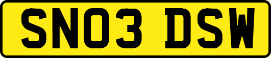 SN03DSW