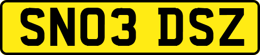 SN03DSZ