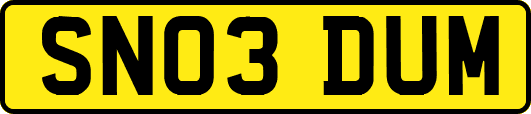 SN03DUM