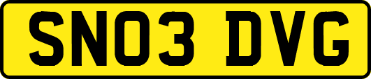 SN03DVG