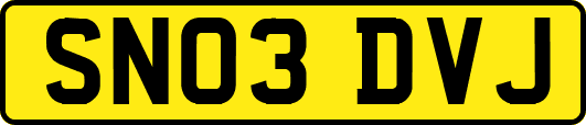 SN03DVJ