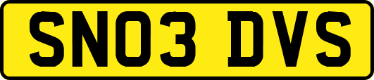 SN03DVS