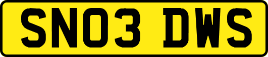 SN03DWS