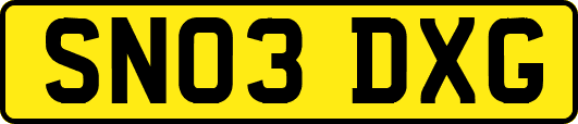 SN03DXG