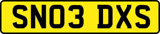 SN03DXS