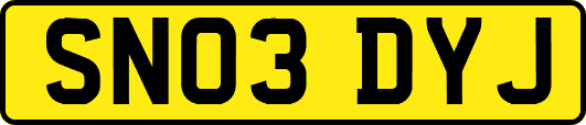 SN03DYJ