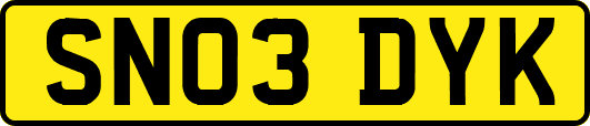 SN03DYK