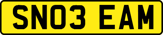 SN03EAM