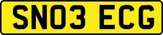 SN03ECG