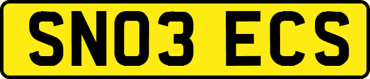SN03ECS