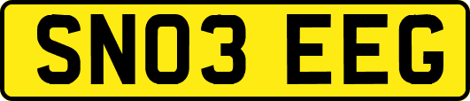 SN03EEG
